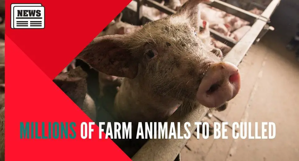 Latest News – UntamedAnimals.com