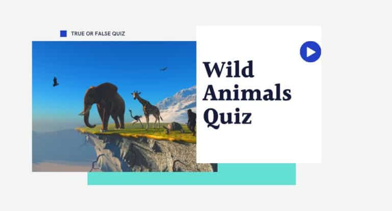 wild animals quiz