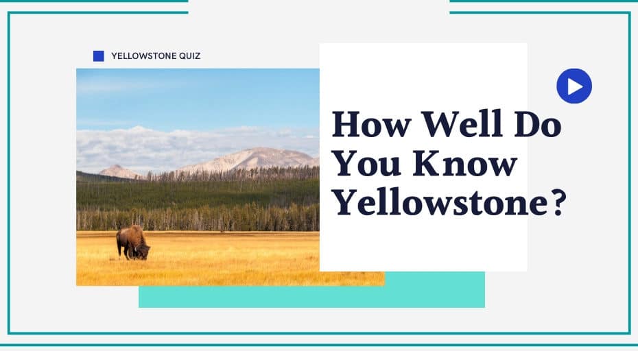 Yellowstone National Park Quiz