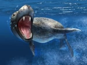 Do Seals Eat Penguins? (Who's Faster) - UntamedAnimals